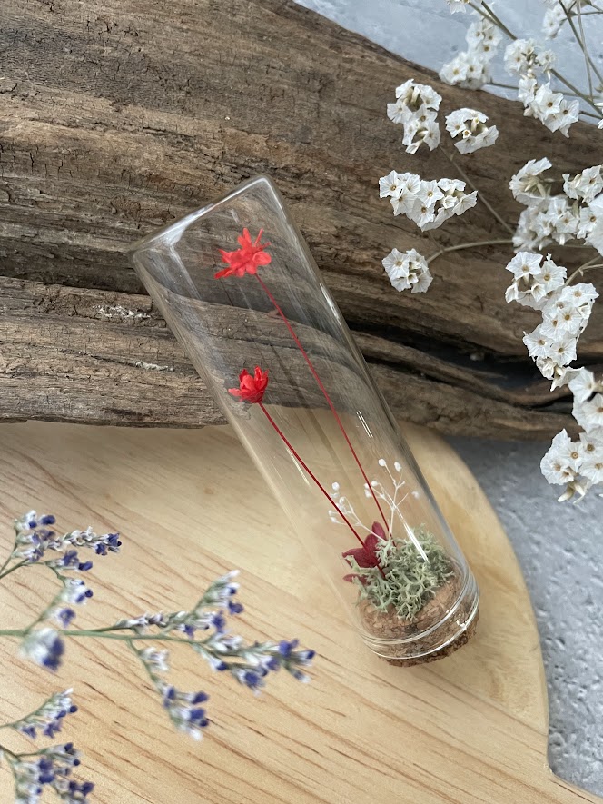 Small buds ～小さな芽～ スターフラワー