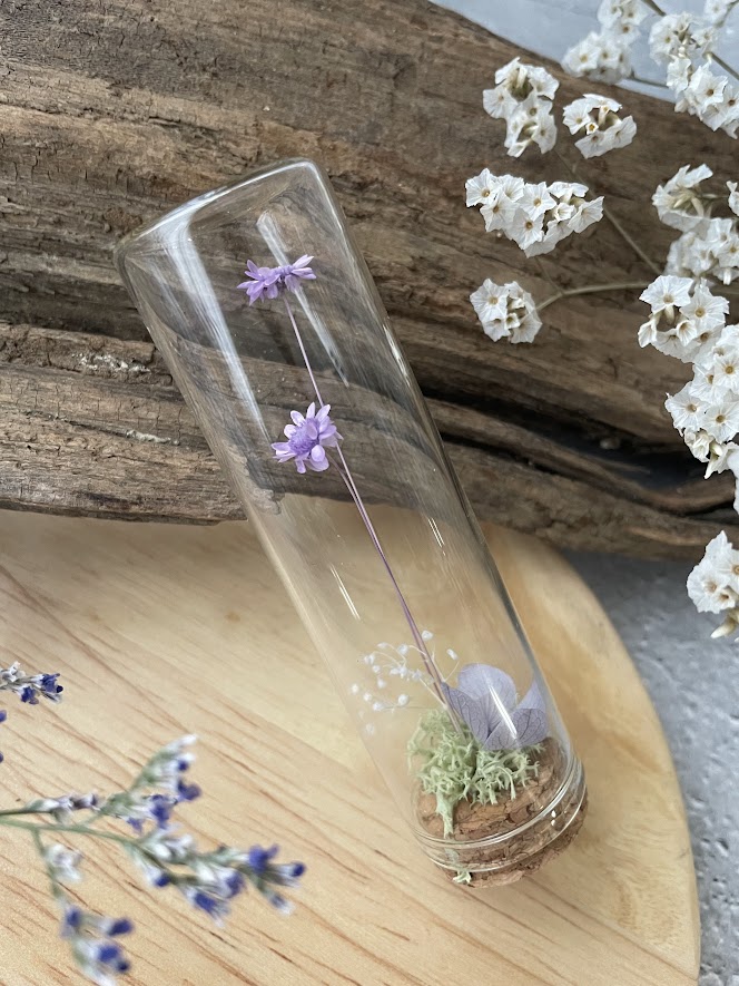Small buds ～小さな芽～ スターフラワー