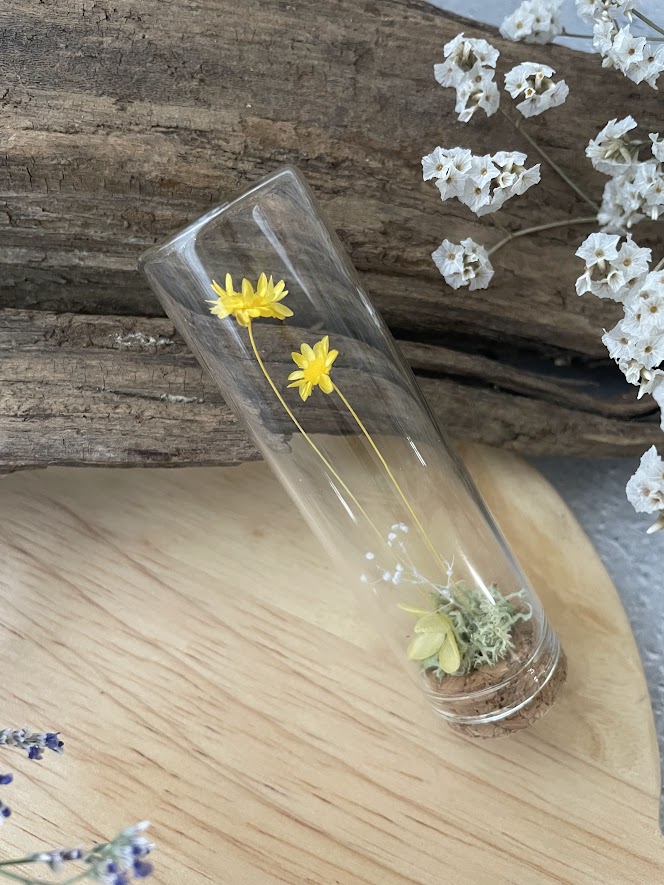 Small buds ～小さな芽～ スターフラワー