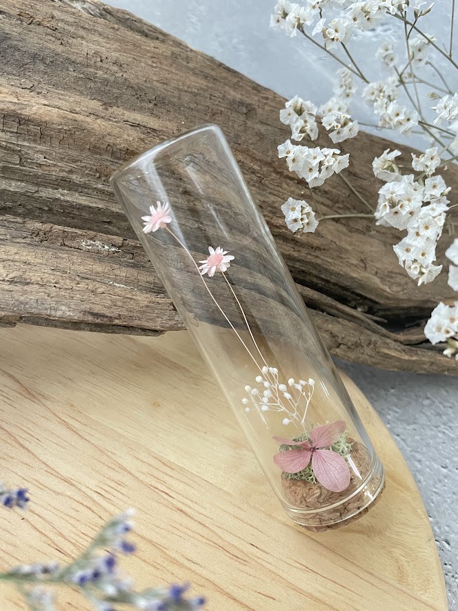 Small buds ～小さな芽～ スターフラワー