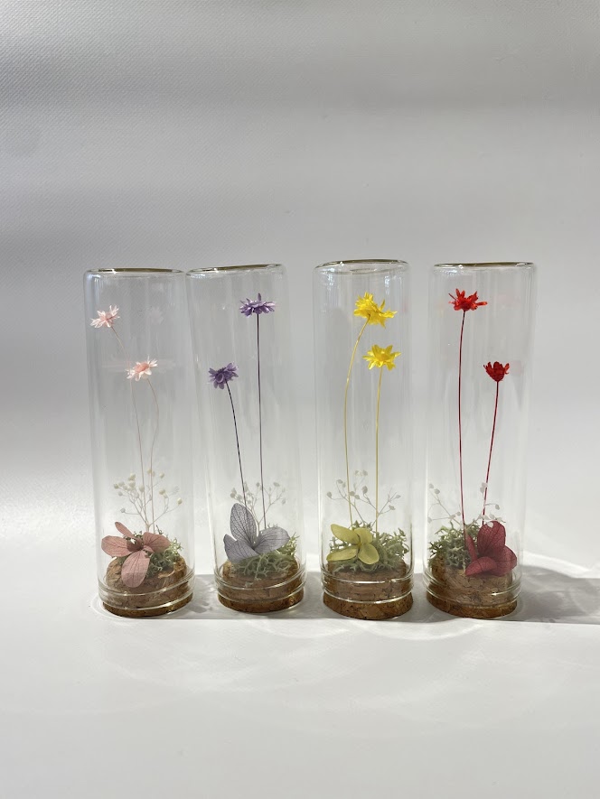 Small buds ～小さな芽～ スターフラワー