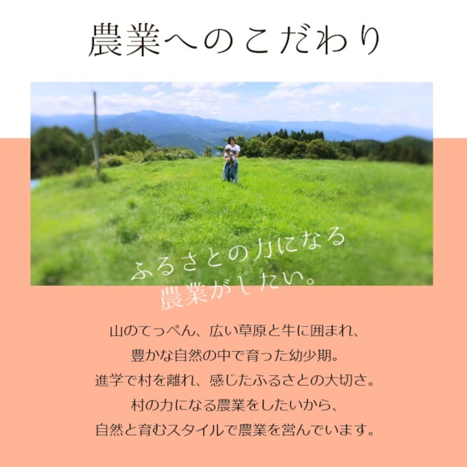 【野菜ソムリエサミット金賞】南信州の完熟・無添加トマトジュース Frutika Rich ｜ 小林農園