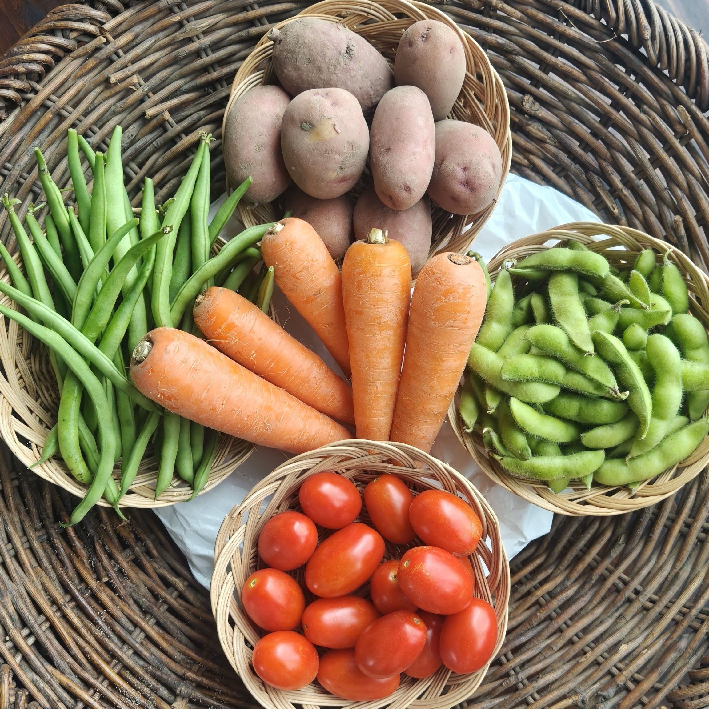 【農薬・化学肥料不使用】自然の恵みをそのまま食卓へ。Dvege野菜セット