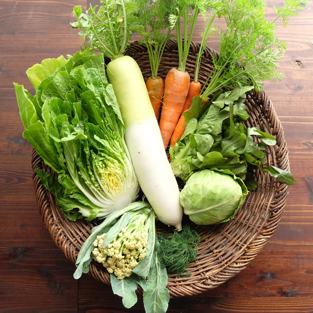 【農薬・化学肥料不使用】自然の恵みをそのまま食卓へ。Dvege野菜セット