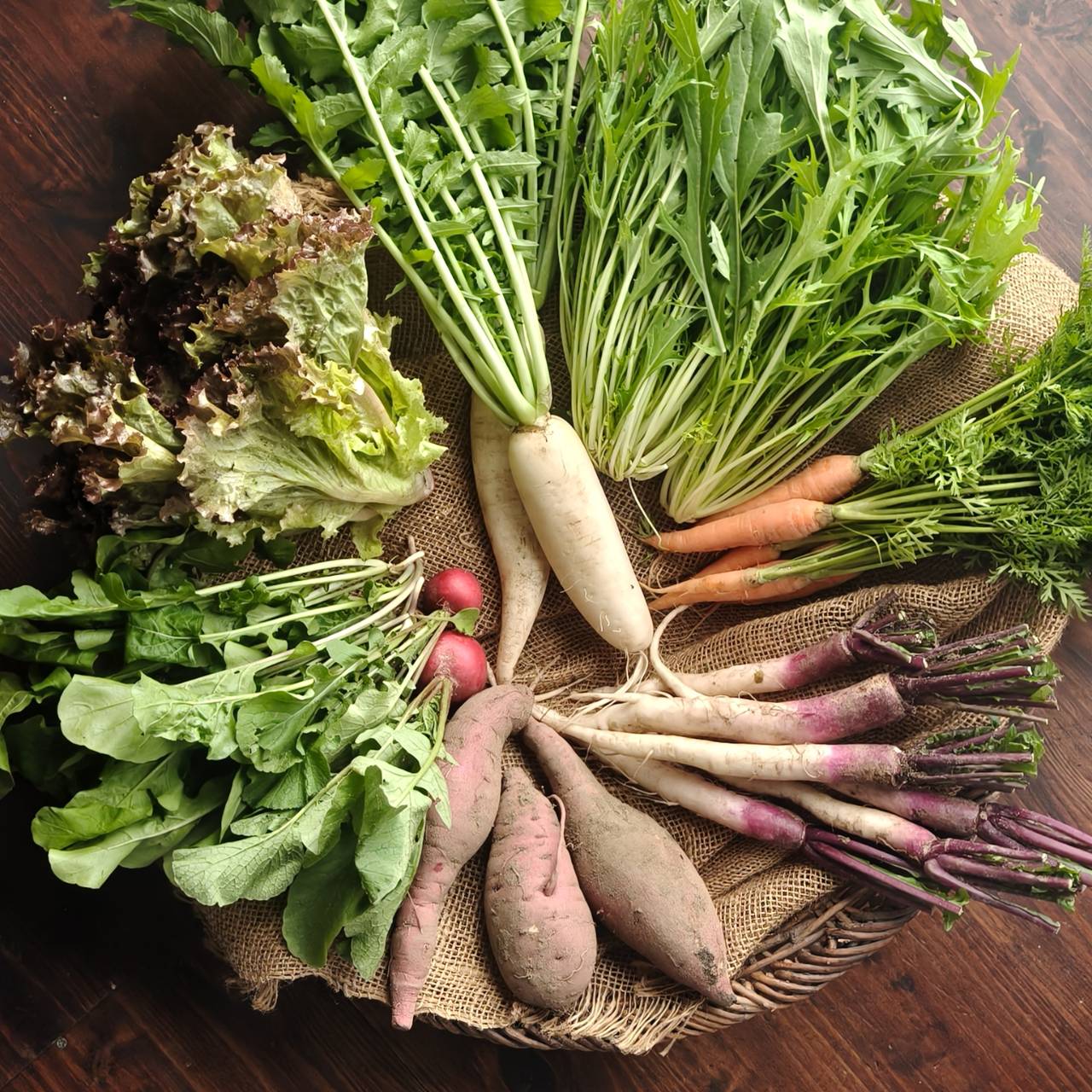 【農薬・化学肥料不使用】自然の恵みをそのまま食卓へ。Dvege野菜セット