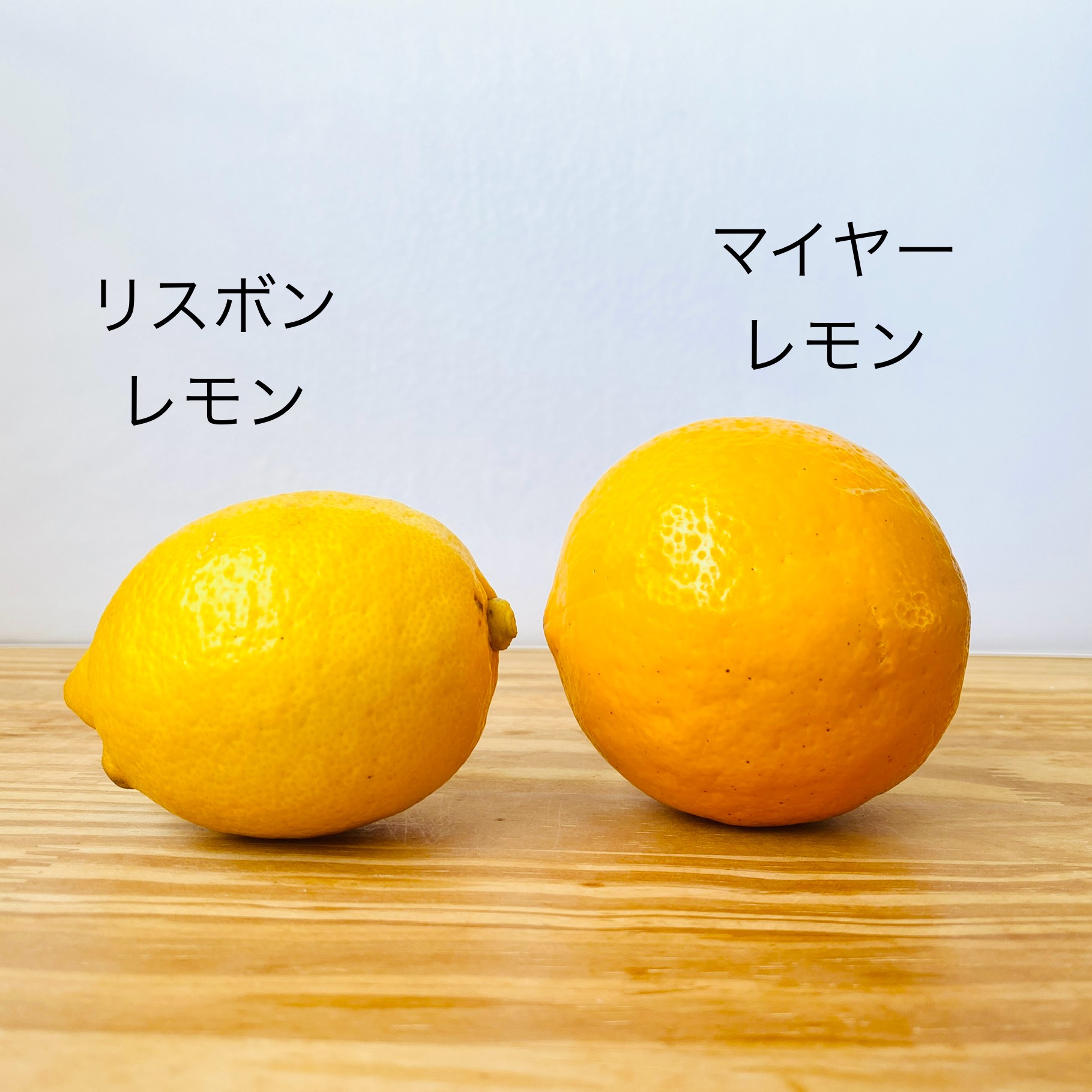 マイヤーレモンマーマレード
